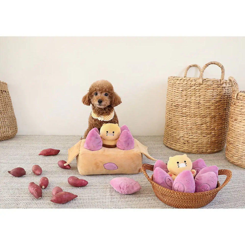 Kakao Friends - Choonsik Sweet Potato Pet Snack Box