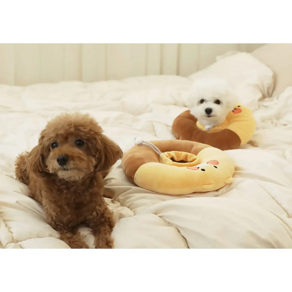 Kakao Friends - Choonsik Pet Neck Collar - Kakao Friends - Home & Living, Accessories - Harumio