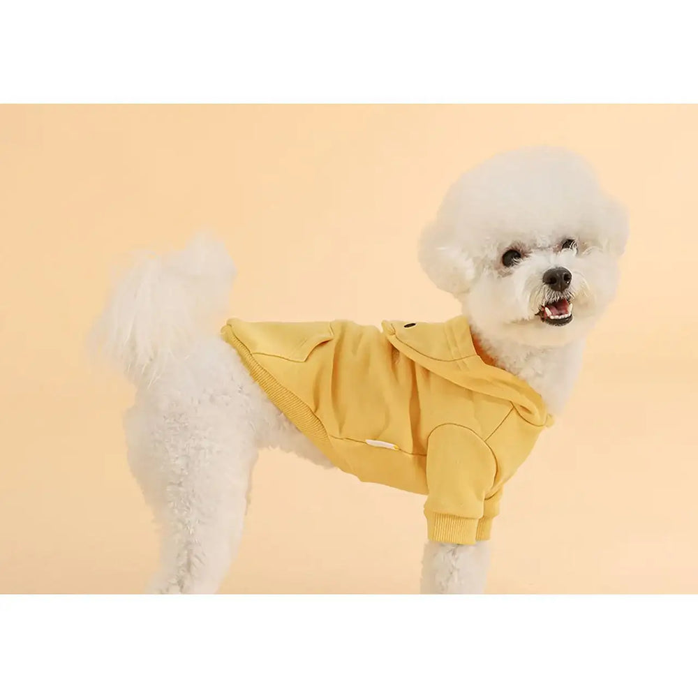 Kakao Friends - Choonsik Pet Hooded Sweatshirt - Kakao Friends - Home & Living, Accessories - Harumio