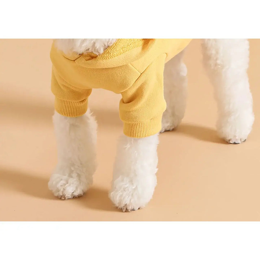 Kakao Friends - Choonsik Pet Hooded Sweatshirt - Kakao Friends - Home & Living, Accessories - Harumio