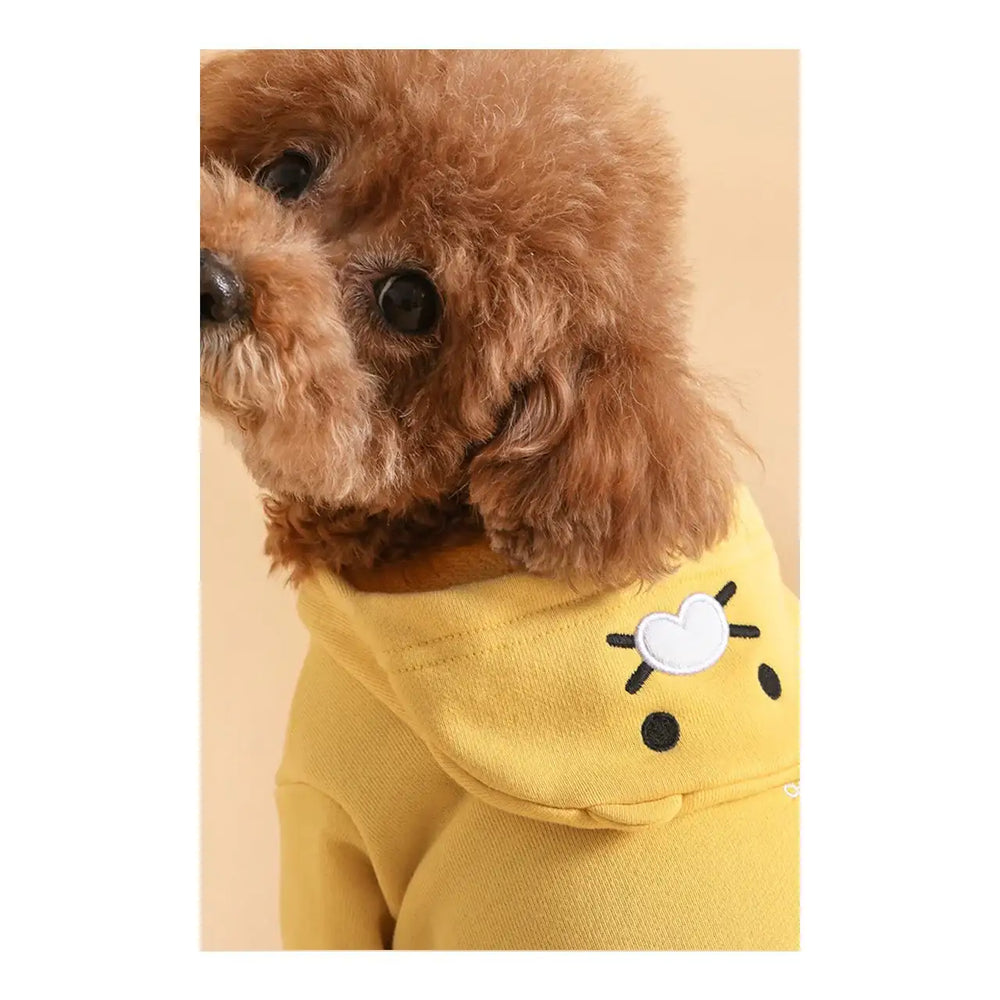 Kakao Friends - Choonsik Pet Hooded Sweatshirt - Kakao Friends - Home & Living, Accessories - Harumio