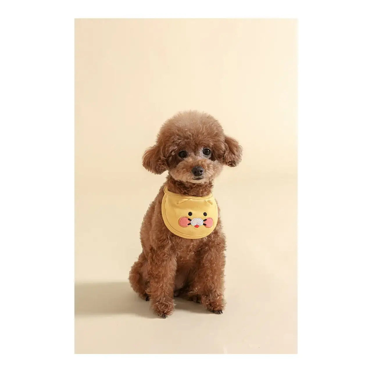 Kakao Friends - Choonsik Pet Bib - Kakao Friends - Home & Living, Accessories - Harumio