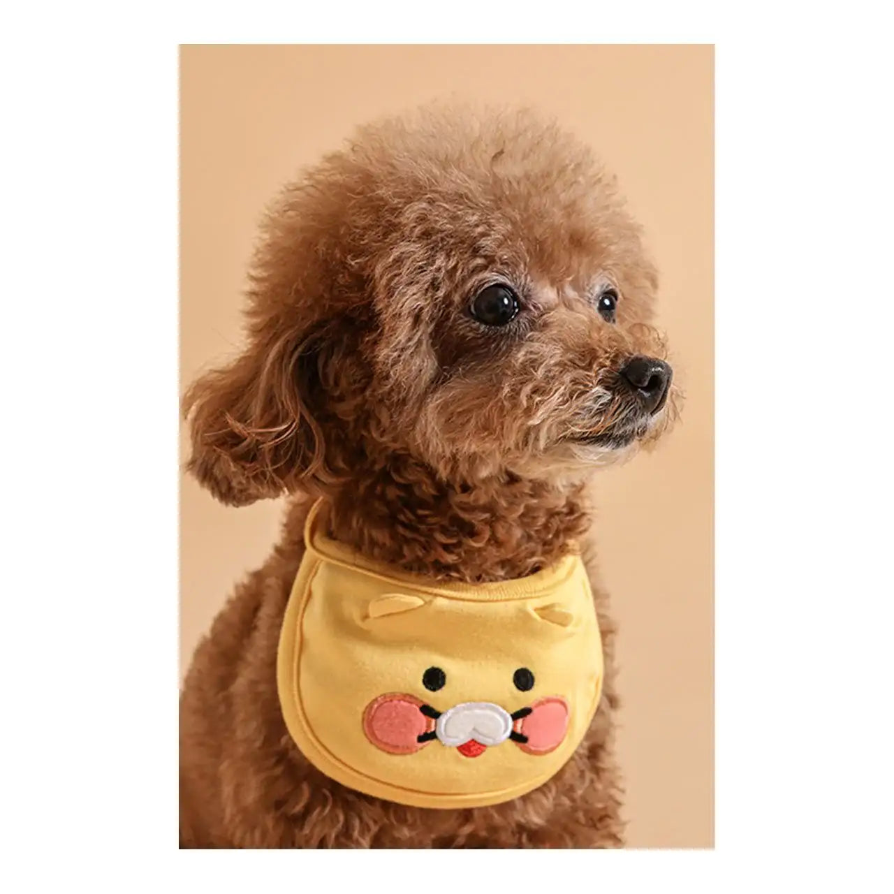 Kakao Friends - Choonsik Pet Bib - Kakao Friends - Home & Living, Accessories - Harumio