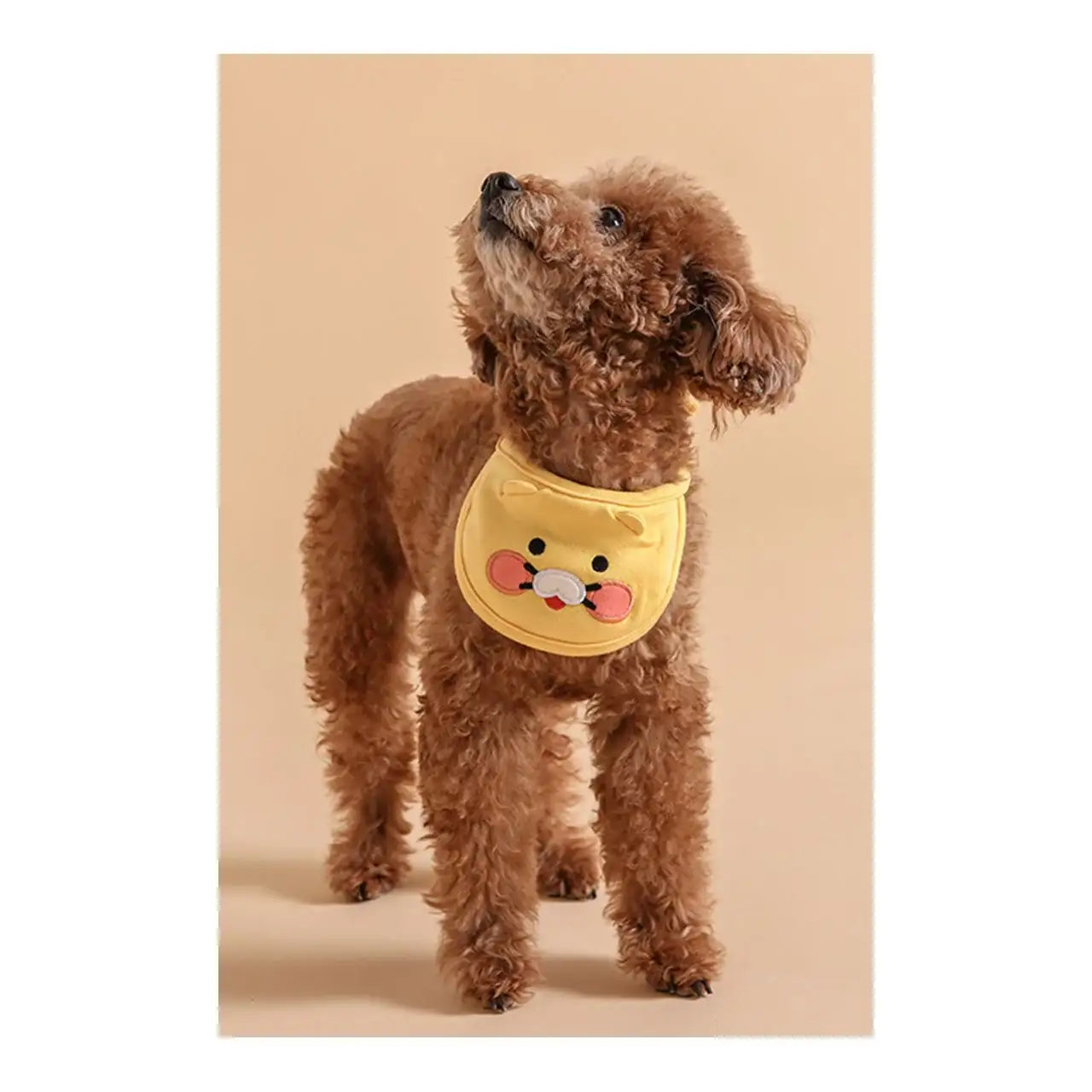 Kakao Friends - Choonsik Pet Bib - Kakao Friends - Home & Living, Accessories - Harumio