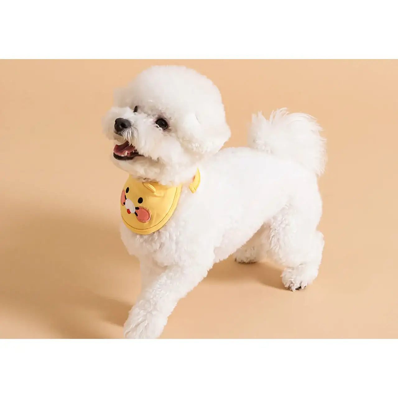 Kakao Friends - Choonsik Pet Bib - Kakao Friends - Home & Living, Accessories - Harumio