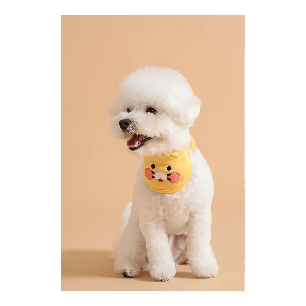 Kakao Friends - Choonsik Pet Bib - Kakao Friends - Home & Living, Accessories - Harumio