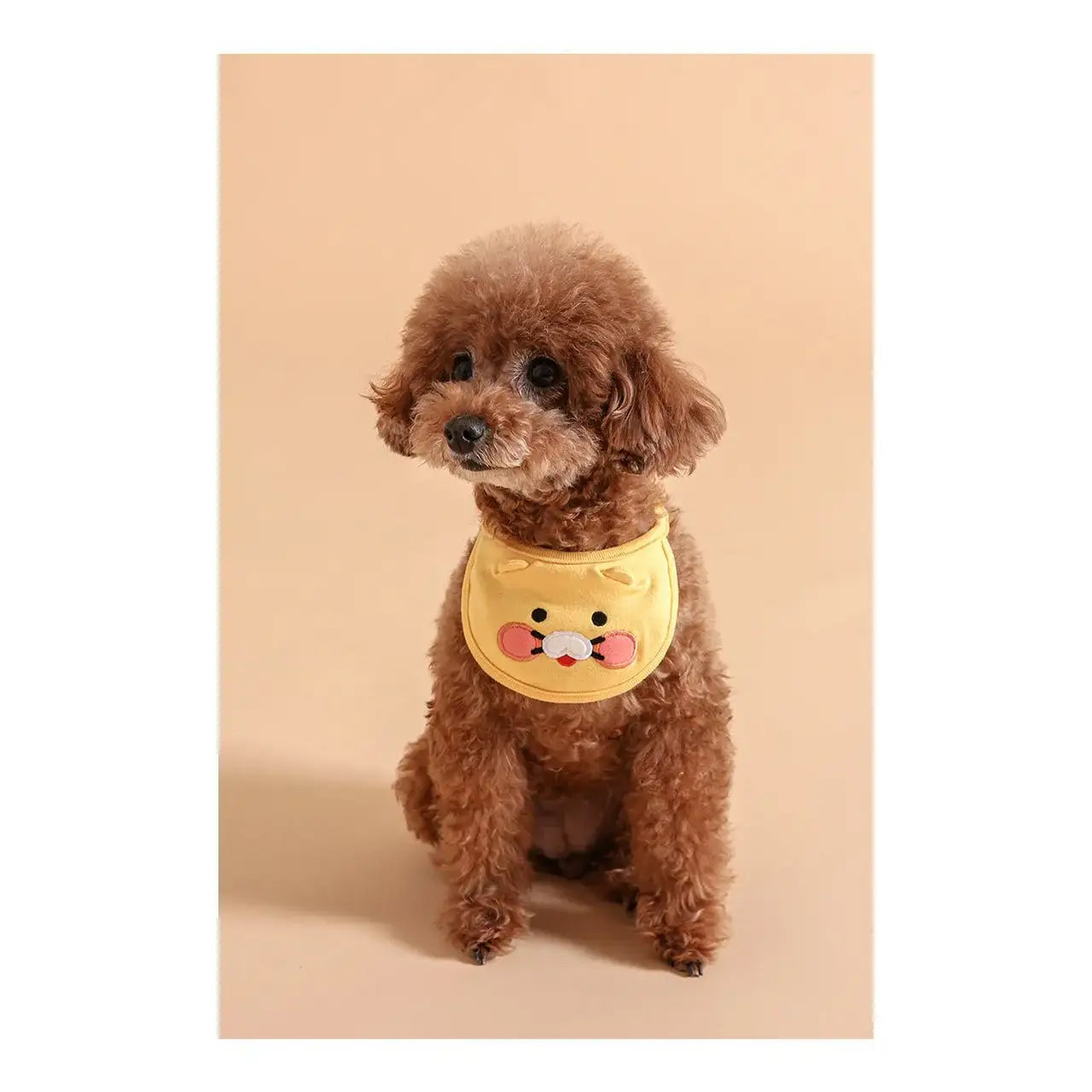 Kakao Friends - Choonsik Pet Bib - Kakao Friends - Home & Living, Accessories - Harumio