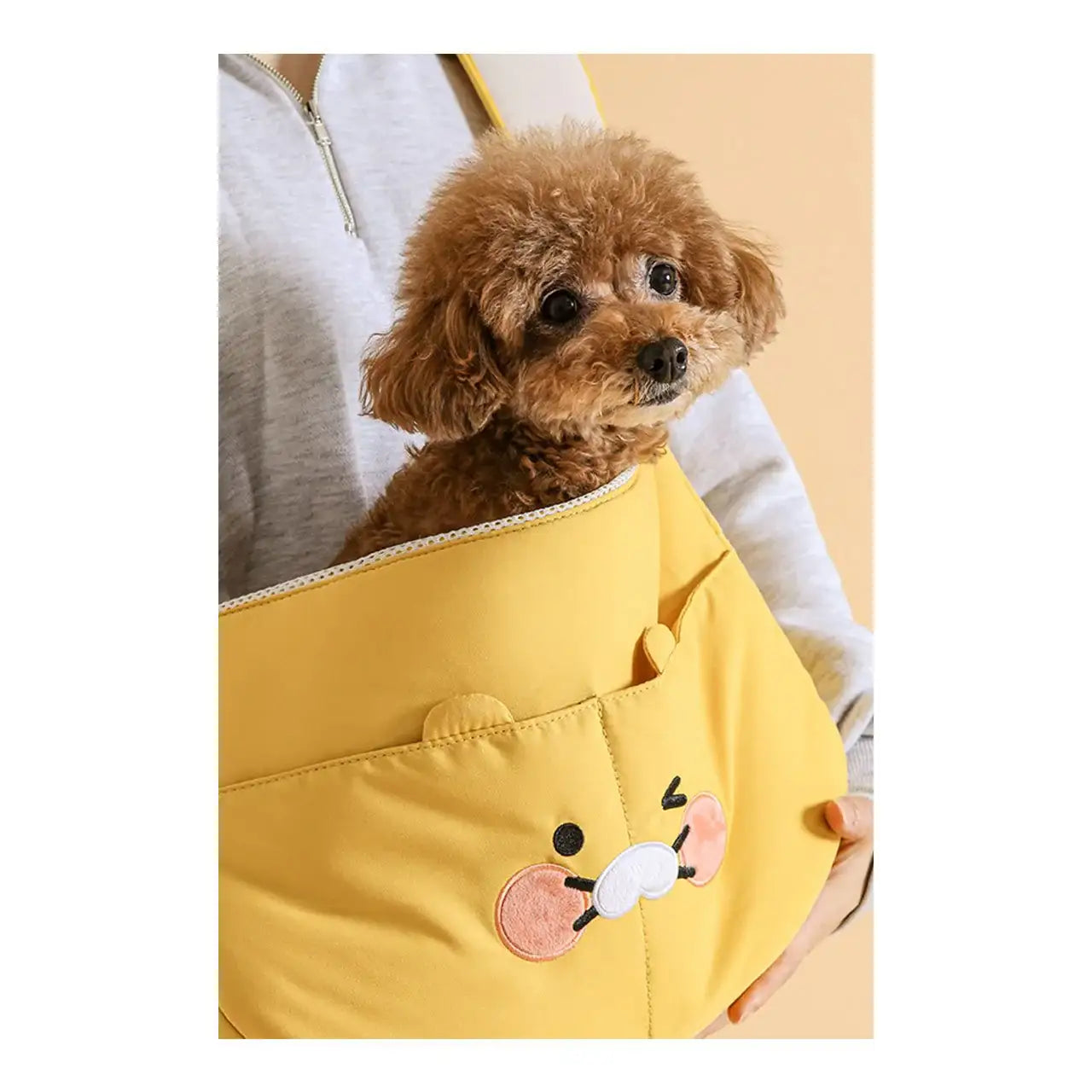 Kakao Friends - Choonsik Pet Sling Bag - Kakao Friends - Home & Living, Accessories - Harumio