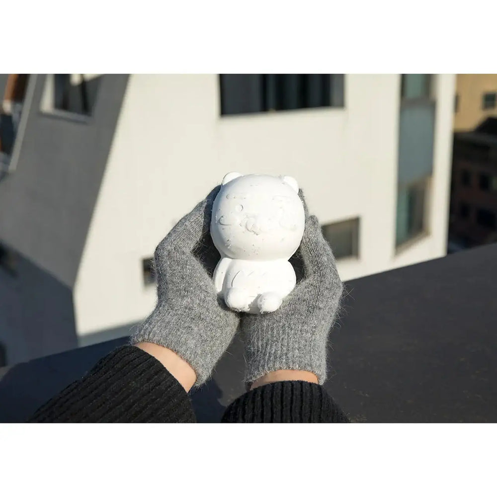 Kakao Friends - Snow Tweezers - Kakao Friends - Home & Living, Accessories - Harumio