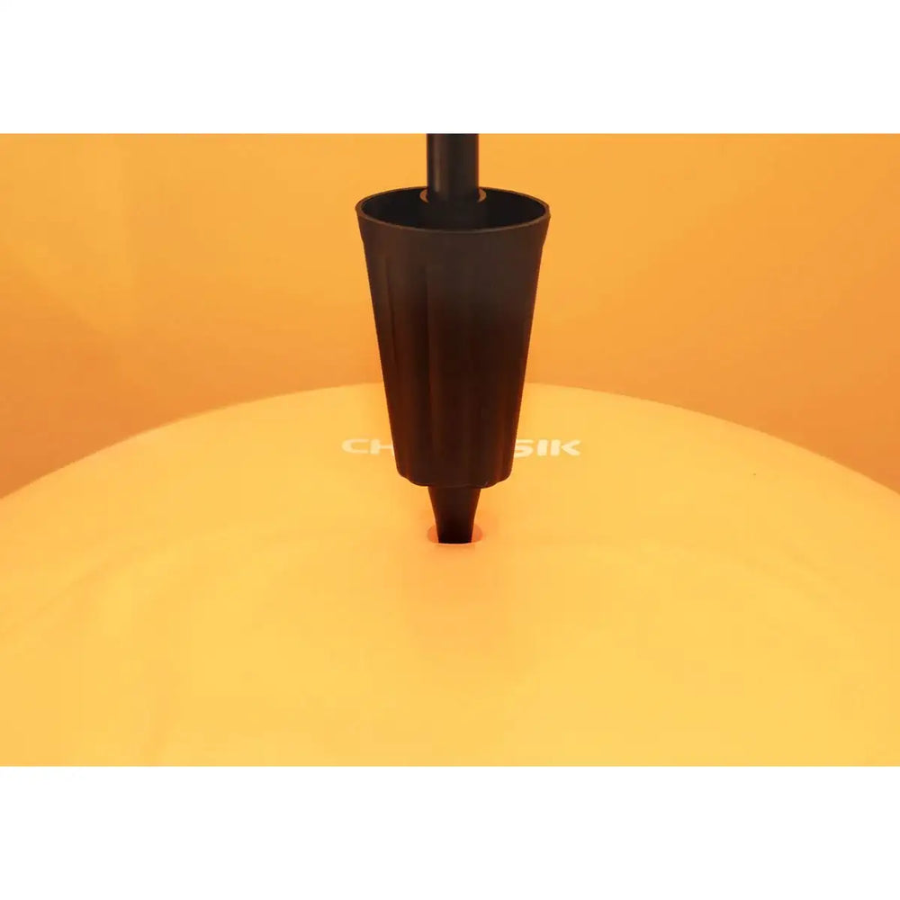 Kakao Friends - Choonsik Gym Ball - Kakao Friends - Home & Living, Accessories - Harumio