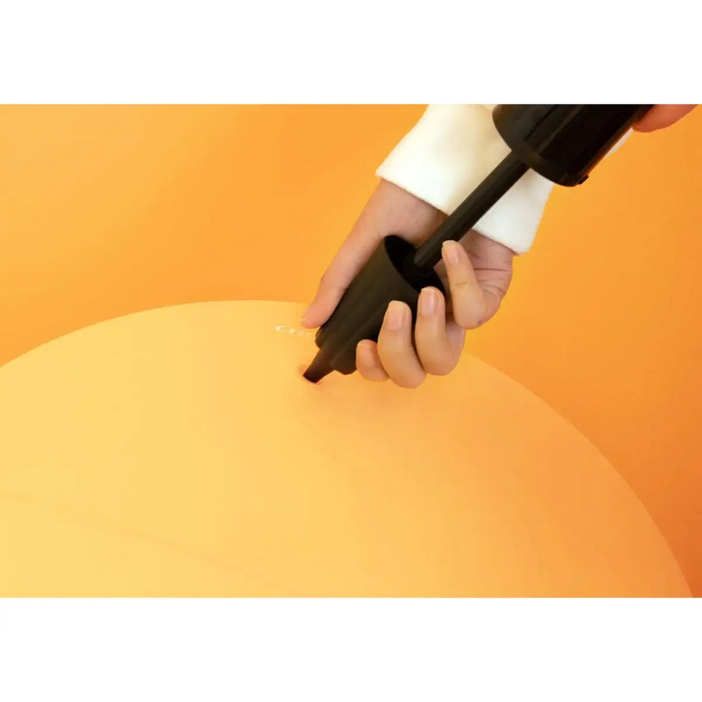 Kakao Friends - Choonsik Gym Ball - Kakao Friends - Home & Living, Accessories - Harumio