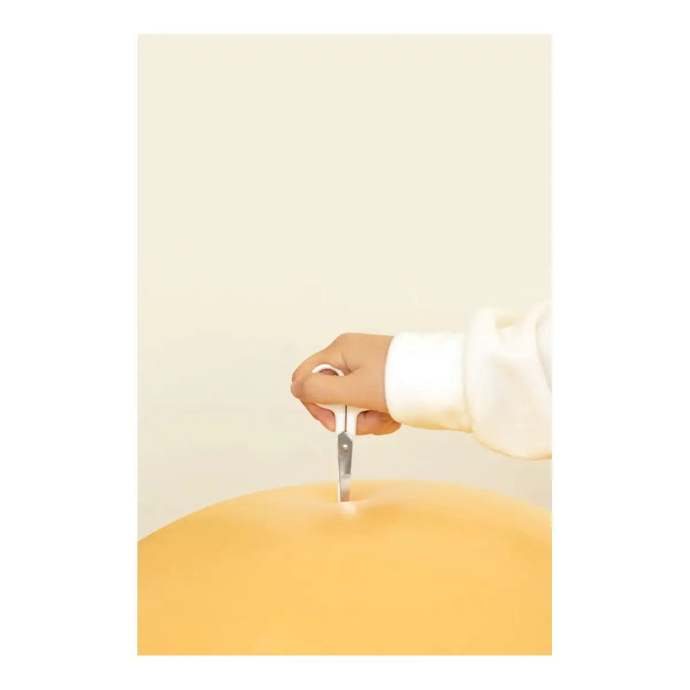 Kakao Friends - Choonsik Gym Ball - Kakao Friends - Home & Living, Accessories - Harumio