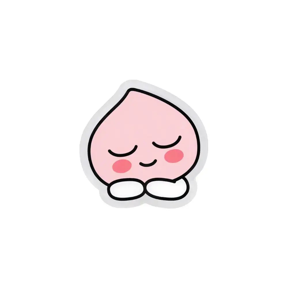 Kakao Friends - Acrylic Magnet Clips - Kakao Friends - Home & Living, Accessories - Harumio