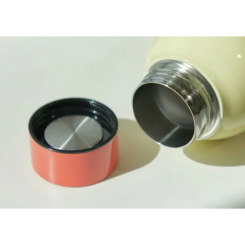 Kakao Friends - Choonsik Hang Out Stainless Steel Bottle - Kakao Friends - Home & Living, Accessories - Harumio