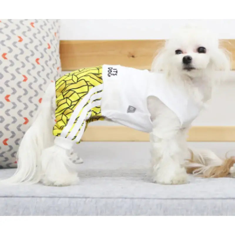 ITSDOG - Pet Its Gogo All In One Jersey - ITSDOG - Pet Clothes - Harumio