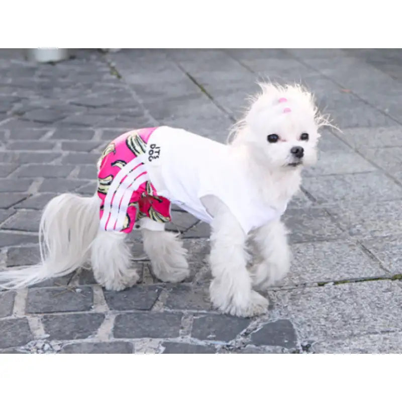 ITSDOG - Pet Its Gogo All In One Jersey - ITSDOG - Pet Clothes - Harumio