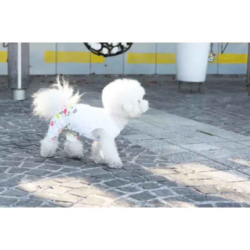 ITSDOG - Pet Its Gogo All In One Jersey - ITSDOG - Pet Clothes - Harumio