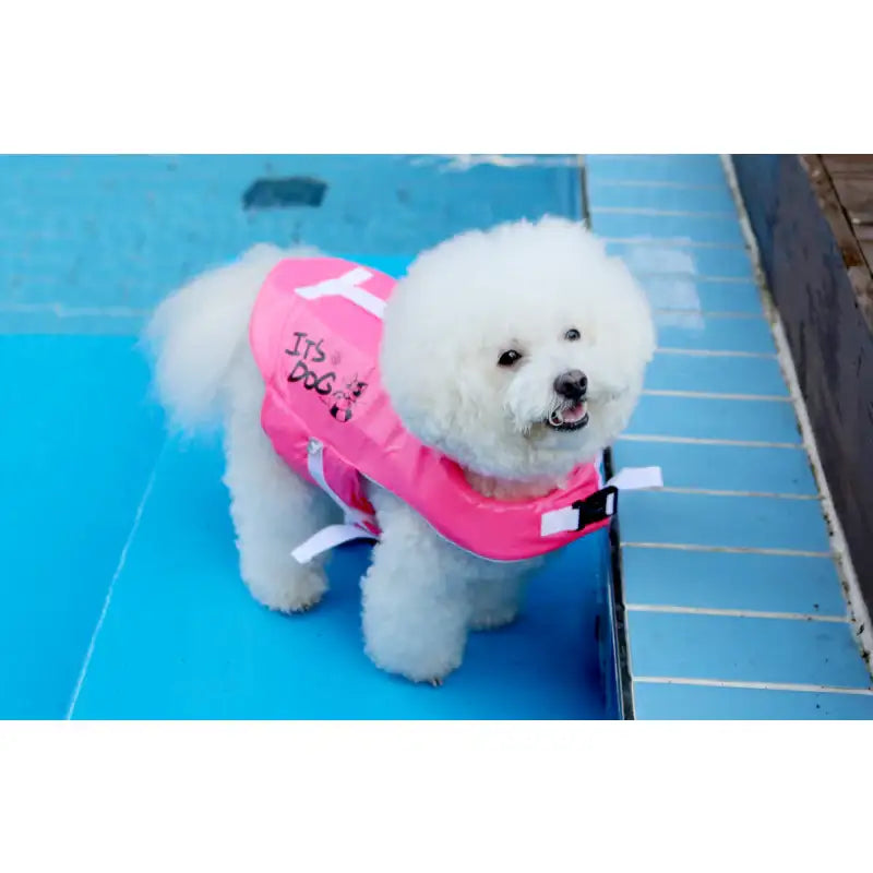 ITSDOG - Pet Life Jacket - ITSDOG - Pet Clothes - Harumio