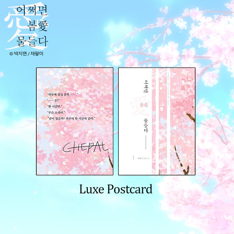 Spring, the Color of Love - Manhwa & Novel Set