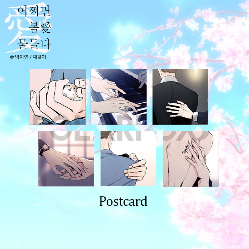 Spring, the Color of Love - Manhwa & Novel Set