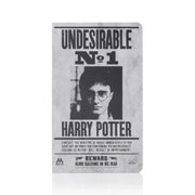 CGV - Harry Potter Photo Ticket Album - CGV - Photo Ticket Album - Harumio
