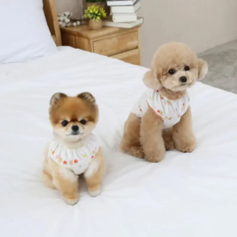 ITSDOG - Pet Friends Puff T-Shirt - ITSDOG - Pet Clothes - Harumio