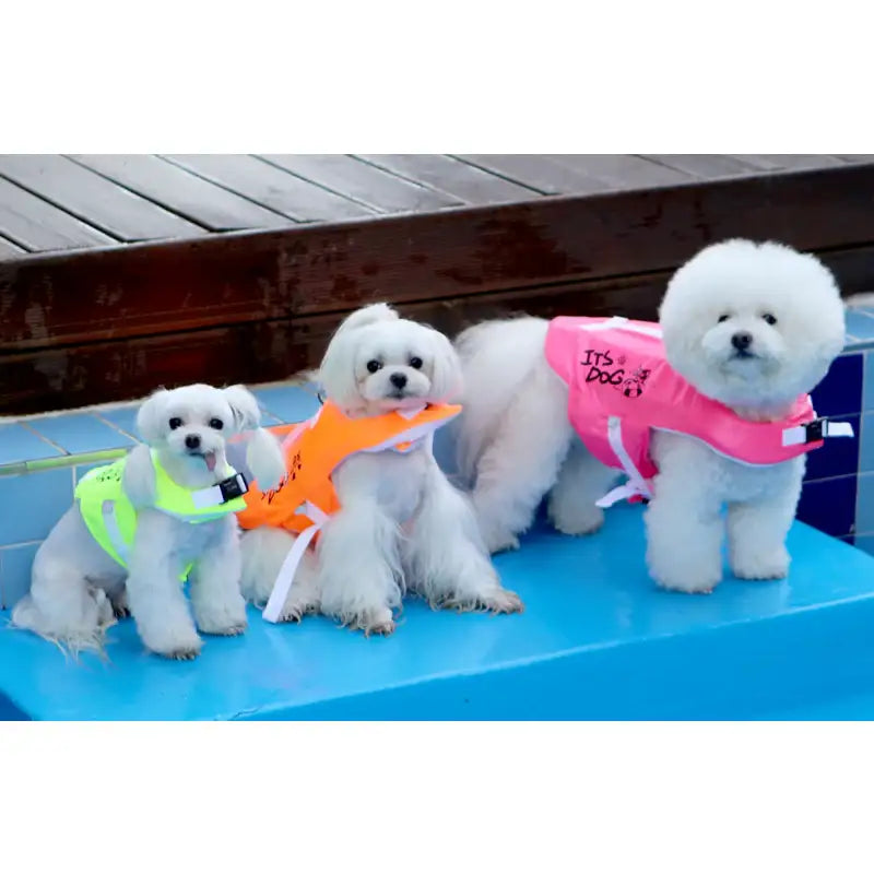 ITSDOG - Pet Life Jacket - ITSDOG - Pet Clothes - Harumio