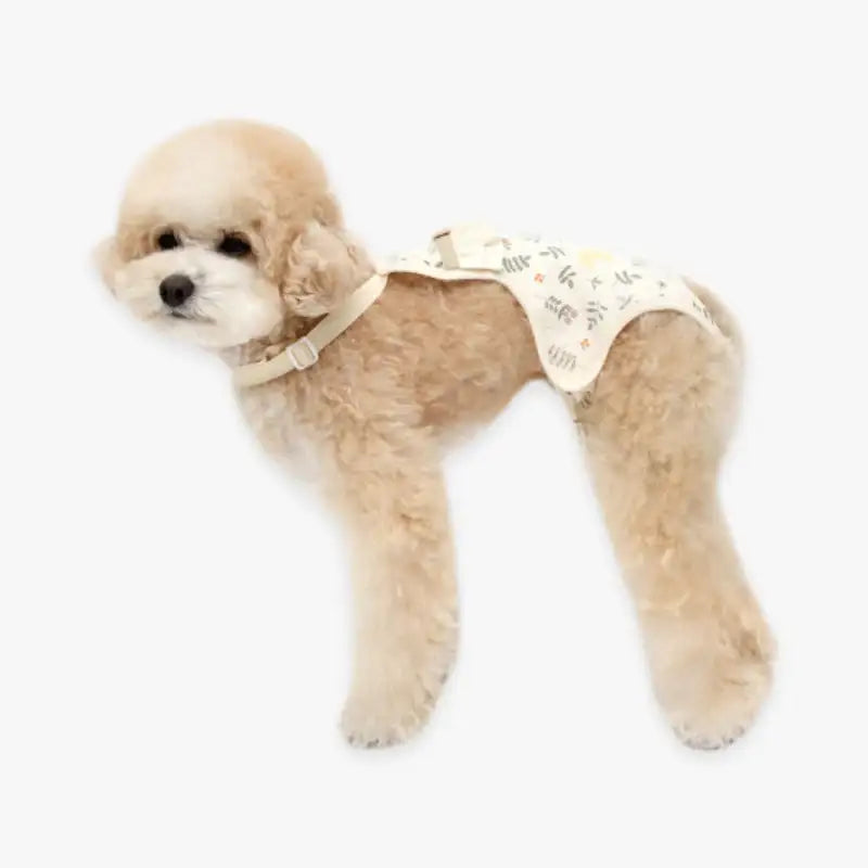 ITSDOG - Pet Dog Organic Botanic Garden Sanitary Panty - ITSDOG - Pet Clothes - Harumio