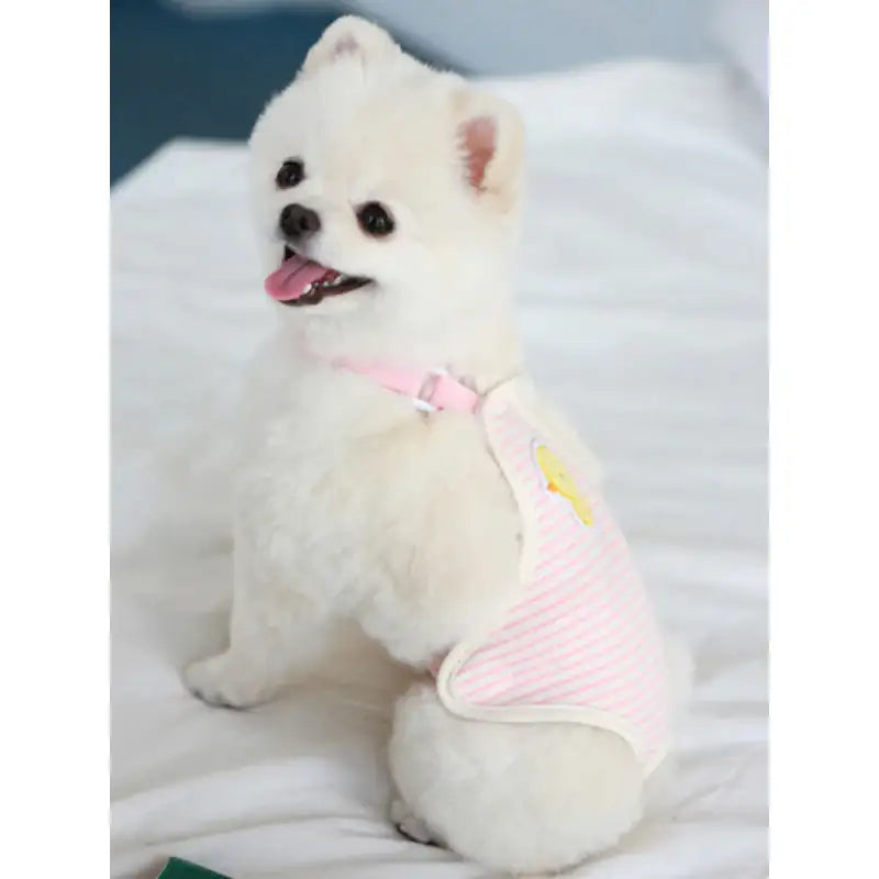 ITSDOG - Pet Dog Organic Chick Sanitary Panty - ITSDOG - Pet Clothes - Harumio