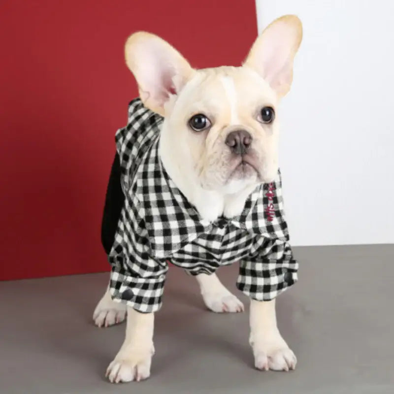 ITSDOG - Pet Gingham Checked Shirt - ITSDOG - Pet Clothes - Harumio