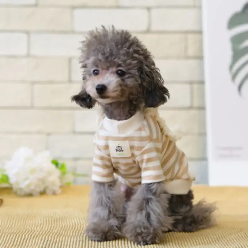 ITSDOG - Pet Organic Lion T-Shirt - ITSDOG - Pet Clothes - Harumio