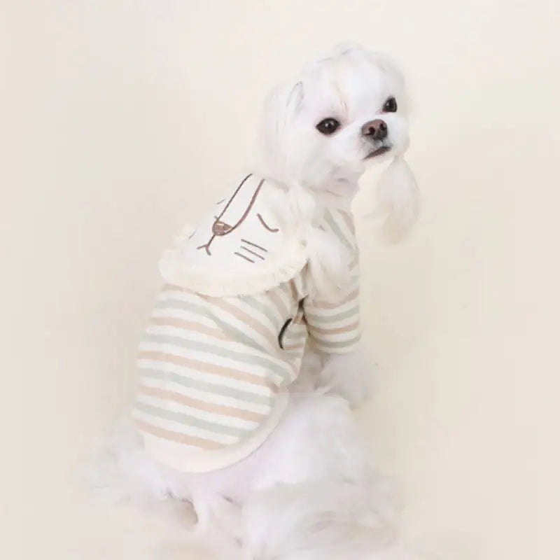 ITSDOG - Pet Organic Lion T-Shirt - ITSDOG - Pet Clothes - Harumio