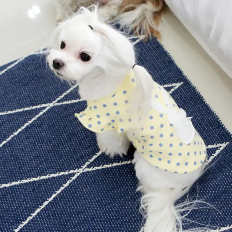 ITSDOG - Pet Sweet Day Cotton T-Shirt - ITSDOG - Pet Clothes - Harumio