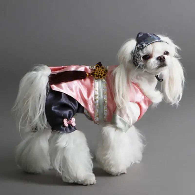 ITSDOG - Pet Pink Star Grass Prince Hanbok - ITSDOG - Pet Clothes - Harumio