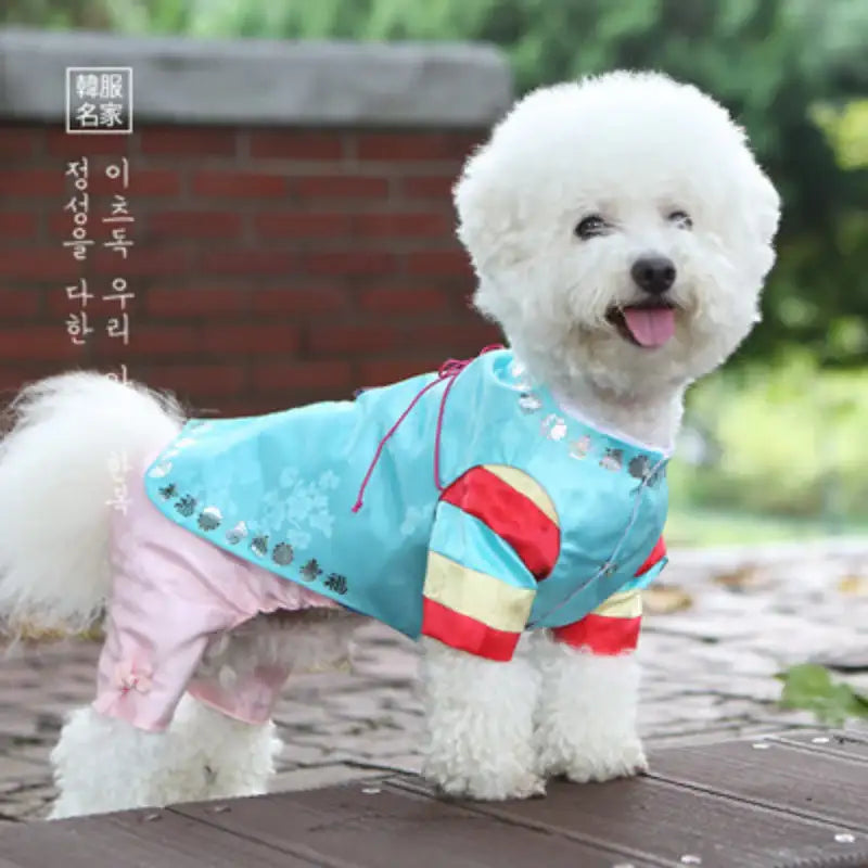 ITSDOG - Pet Solbit Colorful Striped Prince Hanbok - ITSDOG - Pet Clothes - Harumio