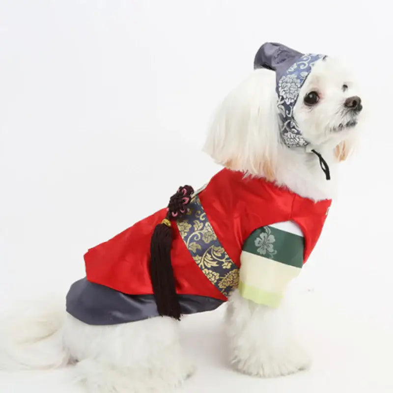 ITSDOG - Pet Colorful Striped Prince Hanbok - ITSDOG - Pet Clothes - Harumio