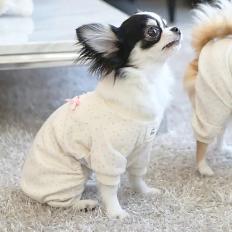 ITSDOG - Pet Organic Galaxy All In One Pajamas - ITSDOG - Pet Clothes - Harumio