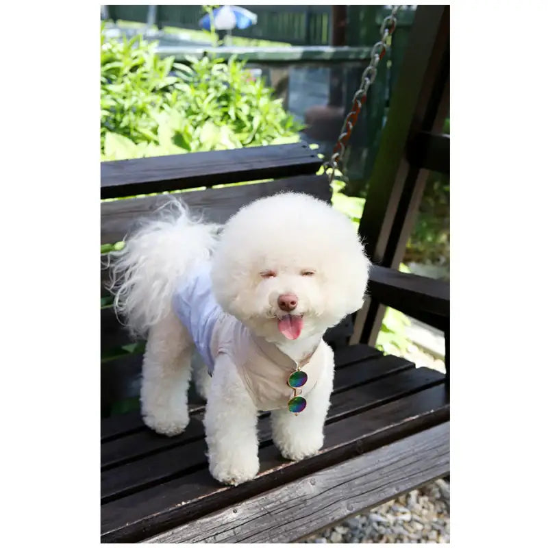 ITSDOG - Pet Linen Shirt - ITSDOG - Pet Clothes - Harumio