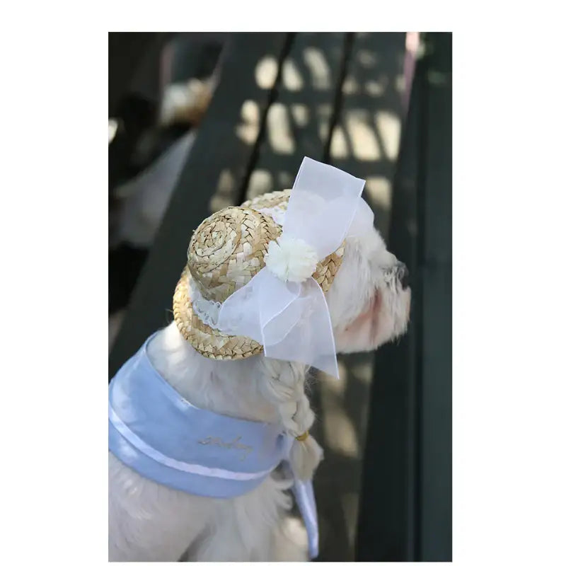 ITSDOG - Pet Straw Hat - ITSDOG - Pet Accesories - Harumio