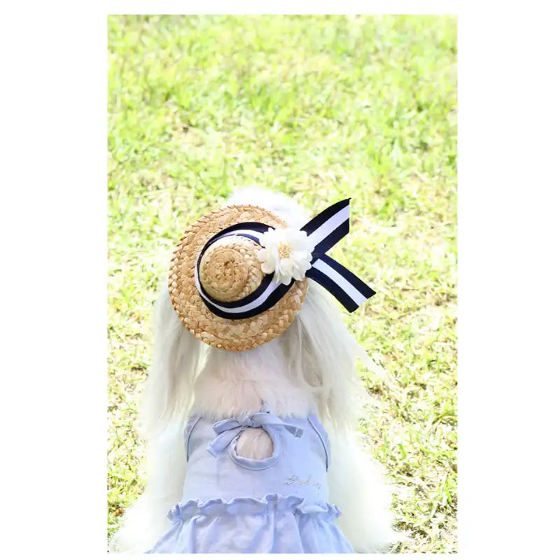 ITSDOG - Pet Straw Hat - ITSDOG - Pet Accesories - Harumio