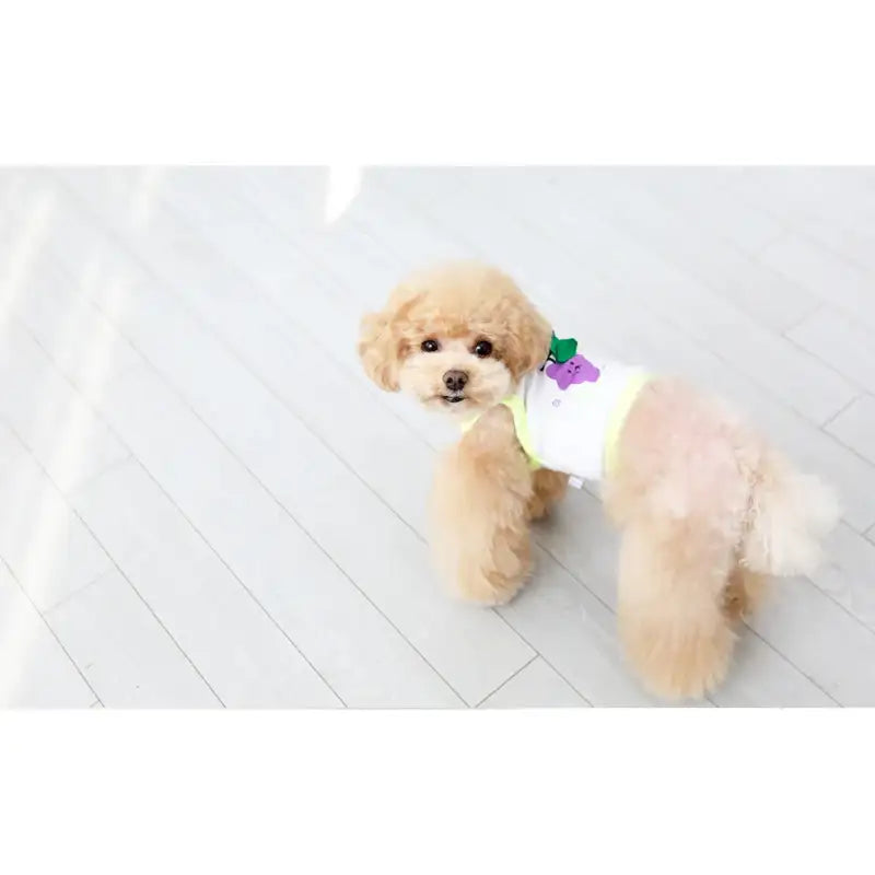 ITSDOG - Pet Fruit Sleeveless Crop Top - ITSDOG - Pet Clothes - Harumio