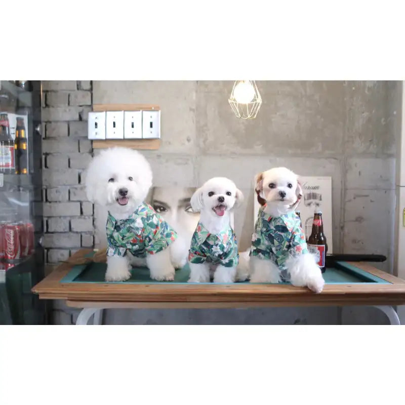 ITSDOG - Pet Aloha Hawaiian Shirt - ITSDOG - Pet Clothes - Harumio