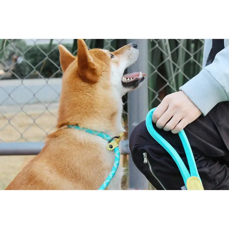 Yog!ssw - Dog P-shaped Cool Mint Lead Leash - Jungle Monster - Pet - Harumio
