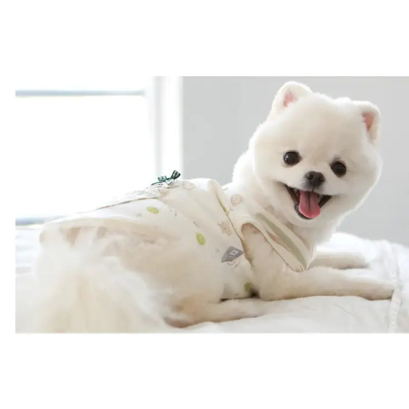 ITSDOG - Pet Organic Love Me Mamma T-Shirt - ITSDOG - Pet Clothes - Harumio