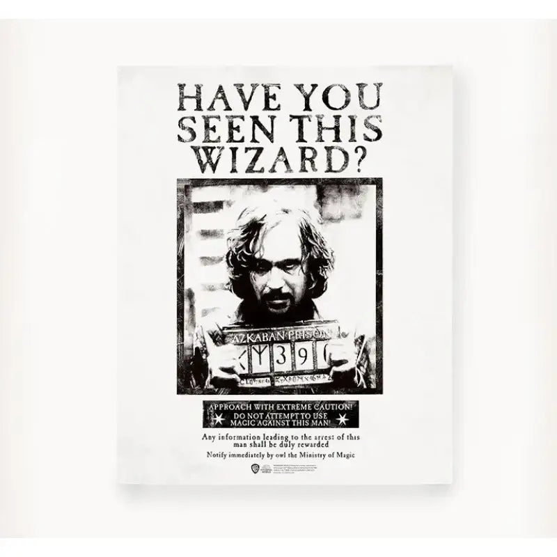 CGV - Harry Potter Poster Set - CGV - Poster - Harumio