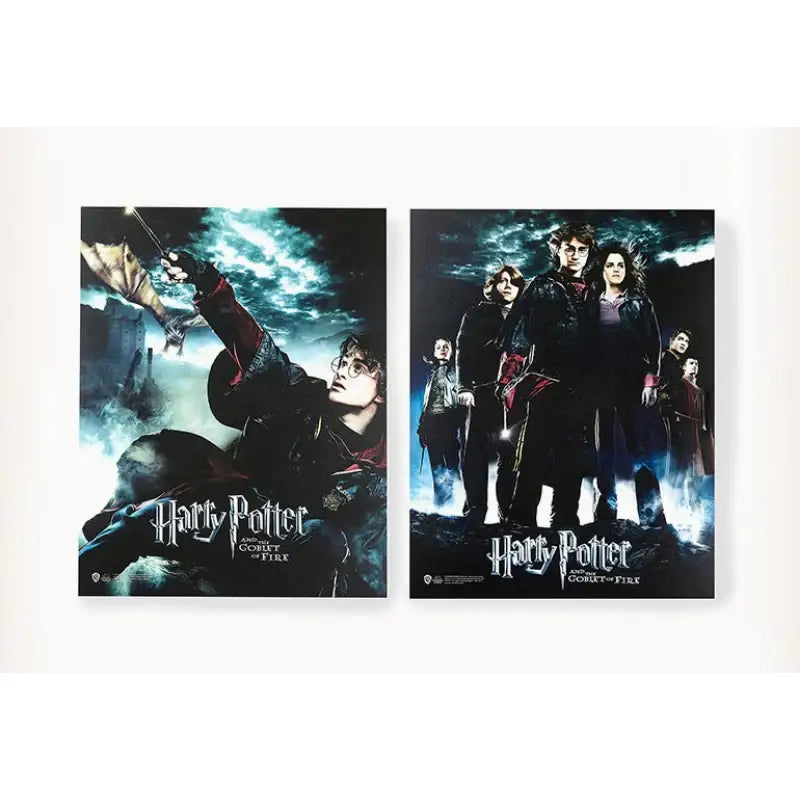 CGV - Harry Potter Poster Set - CGV - Poster - Harumio