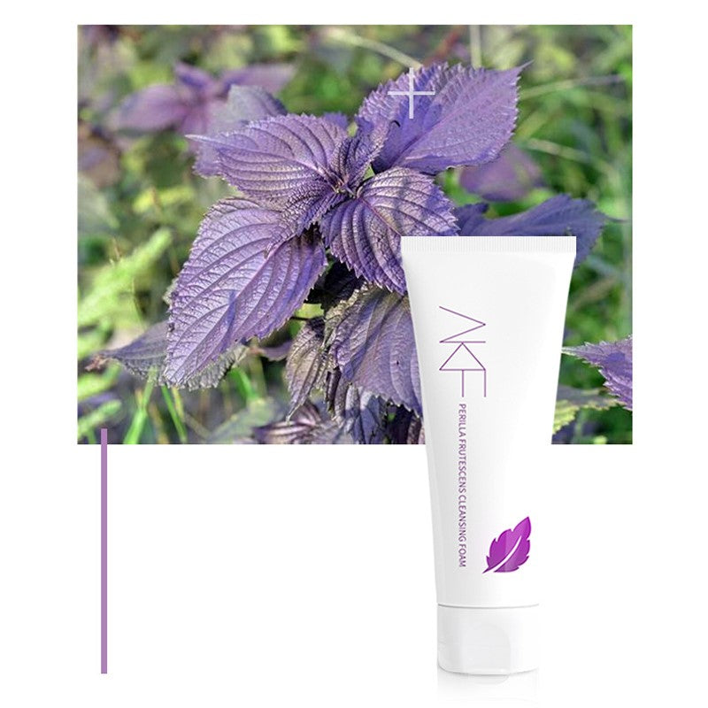 AKF Cosmetics - Perilla Frutescens Cleansing Foam (2 tubes)