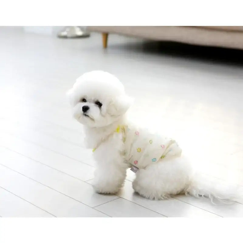 ITSDOG - Pet Organic Baby T-Shirt - ITSDOG - Pet Clothes - Harumio