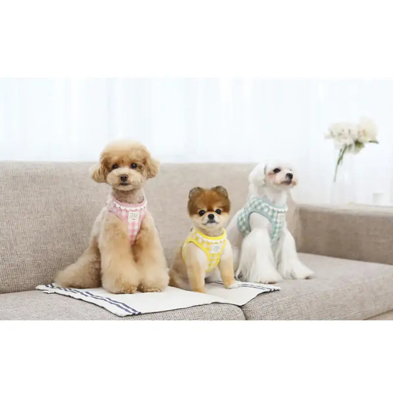 ITSDOG - Pet Heart Checked Harness - ITSDOG - Pet Accesories - Harumio