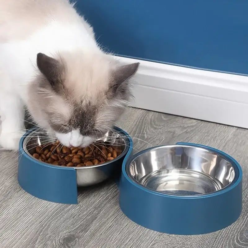 Yog!ssw - Pet Infinity Dual Bowl - Jungle Monster - Pet - Harumio
